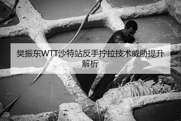 fan-zhen-dong-sha-te-zhan-fan-shou-ning-la-ji-shu-wei-xie-ti-sheng-jie-xi-3-327.jpg