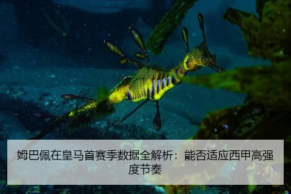 姆巴佩在皇马首赛季数据全解析：能否适应西甲高强度节奏