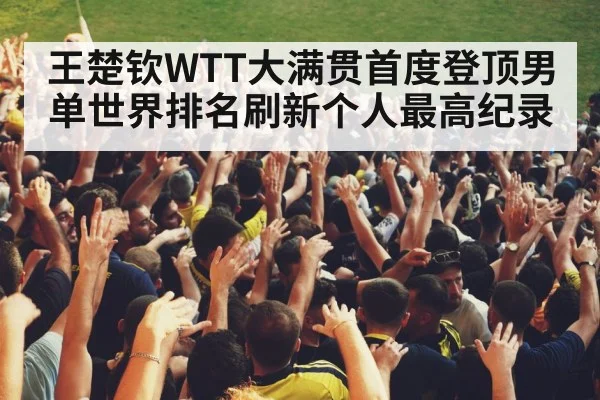 stadium crowd cheering