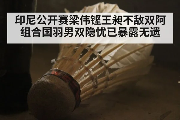 印尼公开赛梁伟铿王昶不敌双阿组合国羽男双隐忧已暴露无遗